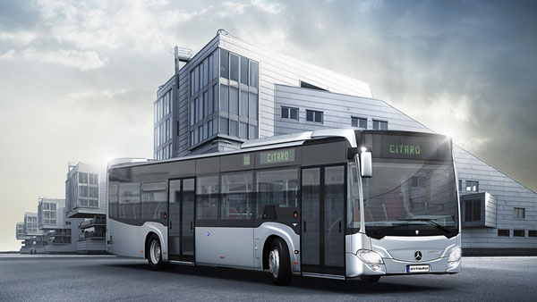 பேருந்து டிரைவரை தலையில் தூக்கி வைத்து கொண்டாடும் பென்ஸ்... காரணத்தை கேட்டு அசந்துபோன ரோமானியர்கள்! பேருந்து டிரைவரை தலையில் தூக்கி வைத்து கொண்டாடும் பென்ஸ்... காரணத்தை கேட்டு அசந்துபோன ரோமானியர்கள்!