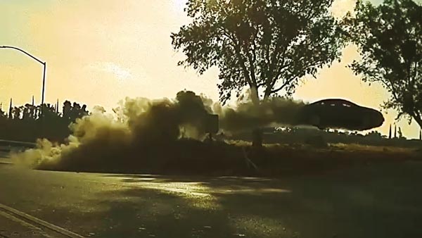 திடீரென தூக்கிபோட்ட பின் வீல்... கட்டுக்கடங்காமல் மரத்திற்கு மேல் பறந்த கார்... வீடியோவ பாக்குறப்பவே பதறுது...