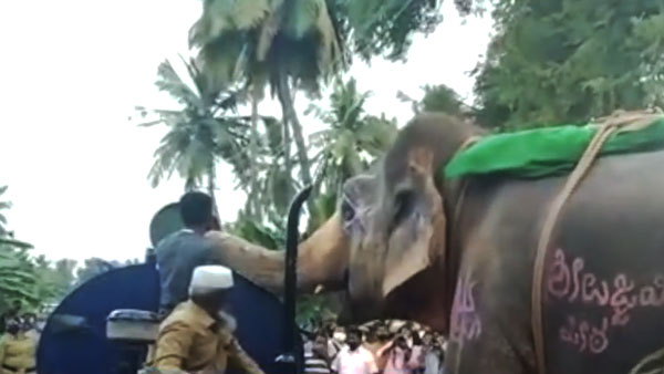 ரொம்ப தாகம்... டிராக்டரை நிறுத்தி தண்ணீர் குடித்த யானை... சமூக வலை தளங்களில் வைரலாகும் வீடியோ!