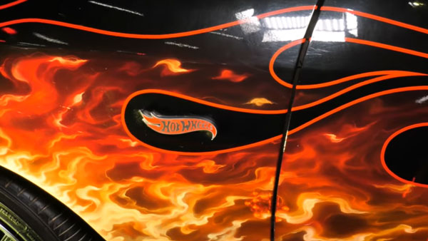 மண்ணுளி பாம்பு, இருடியம் மாதிரி இதுவும் ரொம்ப ரேர் பீஸ்... இது மட்டும் கிடைச்சா நாமலும் கோடீஸ்வரர் ஆயிடலாம்!!