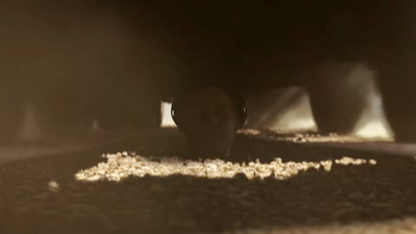 கொஞ்சும் ஒசரமா தயாரிச்சுட்டாங்களாம்... இதுக்காக அவங்க செஞ்சிருக்க வேலைய பாருங்க... பாத்த மெர்சலாயிடுவீங்க!