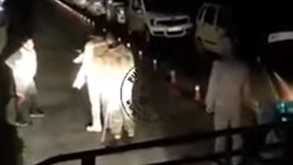 அடல் சுரங்கப்பாதையில் சுற்றுலா பயணியை வெளுத்து வாங்கிய போலீஸ்... வீடியோவை பார்த்து அதிர்ச்சியில் உறைந்த மக்கள்