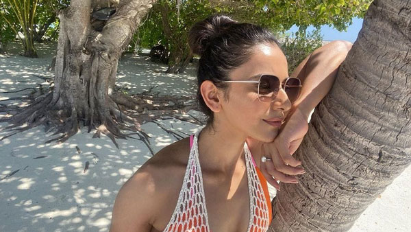 சொகுசு கார்கள் வேண்டாம்... படப்பிடிப்பு தளத்திற்கு சாதாரணமாக சைக்கிளில் வரும் பிரபல நடிகை... யார்னு தெரியுமா? சொகுசு கார்கள் வேண்டாம்... படப்பிடிப்பு தளத்திற்கு சாதாரணமாக சைக்கிளில் வரும் பிரபல நடிகை... யார்னு தெரியுமா?