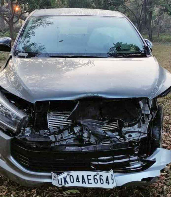 வேகமாக வந்த கார் மோதியதில் புலி உயிரிழப்பு... டிரைவர் மீது என்ன நடவடிக்கை எடுக்கப்பட்டது தெரியுமா?