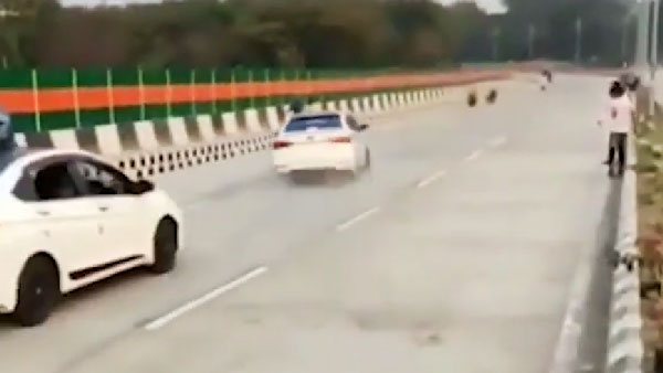 தேசிய கொடியை ஏந்தி கொண்டு இளைஞர்கள் செய்த காரியம்... வயதை கேட்டால் இன்னும் ஷாக் ஆகுது... வைரல் வீடியோ