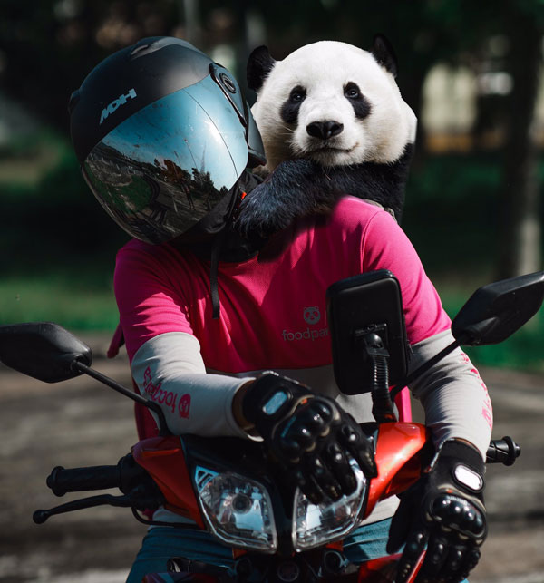 பாண்டா கரடியை முதுகில் சுமந்து சென்ற டெலிவரி பாய்... ஏன் தெரியுமா? காரணத்தை கேட்டு மிரண்டுபோன மலேசியர்கள்!!