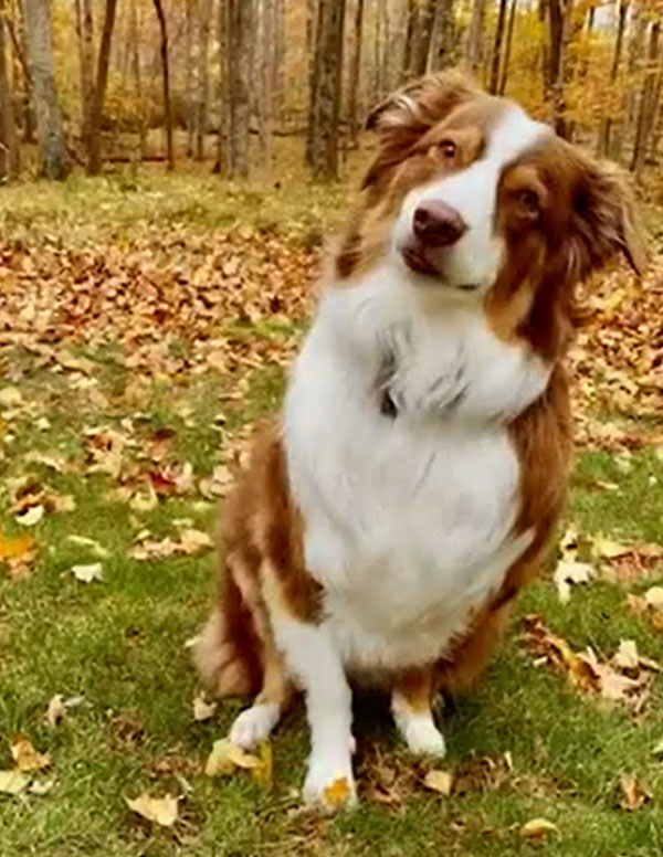 தலைப்பு செய்தியாக மாறிய விபத்து சம்பவம்... உரிமையாளர் கூறிய காரணத்தால் மிரண்டுபோன நெட்டிசன்கள்...