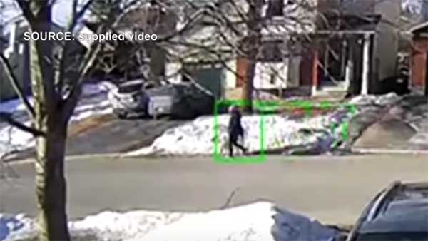 வேகமாக வந்த கார்... நடு ரோட்டில் நின்று நிறுத்திய நாய்... நாய்களை கடவுள்னு ஏன் சொல்றாங்கனு இப்போதான் புரியுது!!