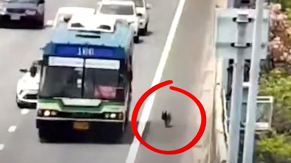 சென்ற வாரத்தின் டாப்- 10 ஆட்டோமொபைல் செய்திகள் சென்ற வாரத்தின் டாப்- 10 ஆட்டோமொபைல் செய்திகள்