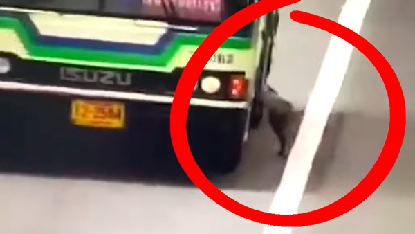 எல்லா வாகனங்களும் பரபரப்பாக சென்று கொண்டிருக்க நடு ரோட்டில் பேருந்தை நிறுத்திய ஓட்டுநர்... மனிதம் இன்னும் மரணிக்கவில்லை!!