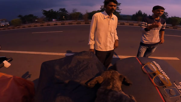 நாய் குட்டியை காப்பாற்ற போய் குடிகாரர்களிடத்தில் சிக்கிய இளம்பெண்... உதவிக்கு யாருமே வரல... கடைசியில் என்ன நடந்தது?