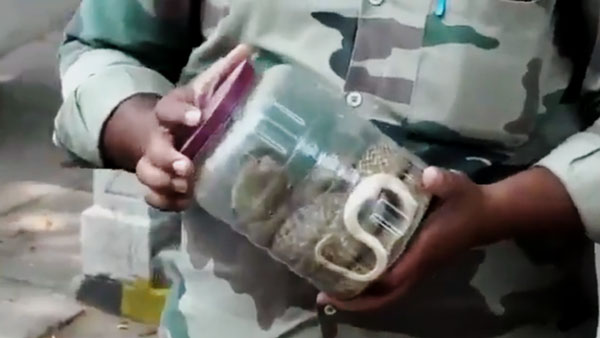 தடுத்து நிறுத்திய போலீஸ்... விஷ பாம்பை காட்டி தப்பிய இளைஞர்... வீடியோ!