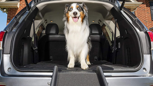 இப்படி ஒரு கார் அக்ஸசெரீஸ் விற்கப்படுகிறதா?.. இவ்ளோ நாள் இது தெரியாம போச்சே... ரொம்ப யூஸ் ஃபுல்லானது!!