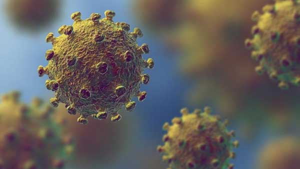 சென்னையை கலக்கும் ‘கொரோனா தடுப்பூசி’ ஆட்டோ!! தனி நபரது விழிப்புணர்வு பயணம்!