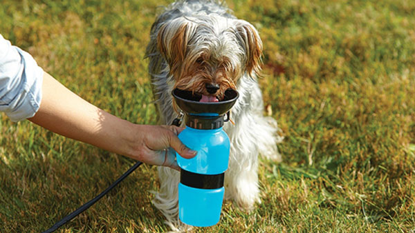 இப்படி ஒரு கார் அக்ஸசெரீஸ் விற்கப்படுகிறதா?.. இவ்ளோ நாள் இது தெரியாம போச்சே... ரொம்ப யூஸ் ஃபுல்லானது!!