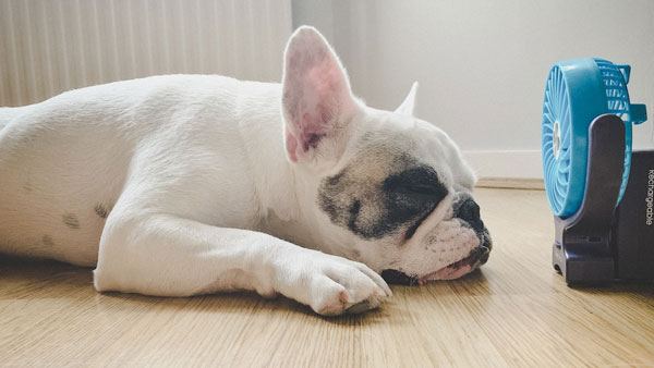 இப்படி ஒரு கார் அக்ஸசெரீஸ் விற்கப்படுகிறதா?.. இவ்ளோ நாள் இது தெரியாம போச்சே... ரொம்ப யூஸ் ஃபுல்லானது!!