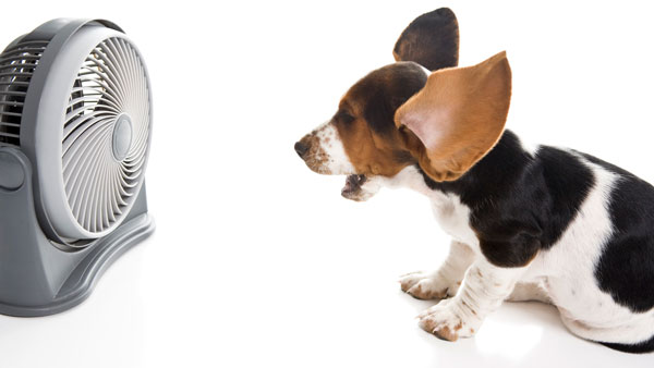 இப்படி ஒரு கார் அக்ஸசெரீஸ் விற்கப்படுகிறதா?.. இவ்ளோ நாள் இது தெரியாம போச்சே... ரொம்ப யூஸ் ஃபுல்லானது!!