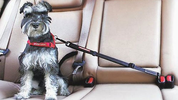 இப்படி ஒரு கார் அக்ஸசெரீஸ் விற்கப்படுகிறதா?.. இவ்ளோ நாள் இது தெரியாம போச்சே... ரொம்ப யூஸ் ஃபுல்லானது!!