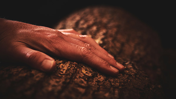 சரக்கு தயாரிக்கும் நிறுவனத்துடன் கூட்டணி! பிரபல கார் உற்பத்தி நிறுவனத்தின் செயலால் குழப்பம்! எதற்காக தெரியுமா?