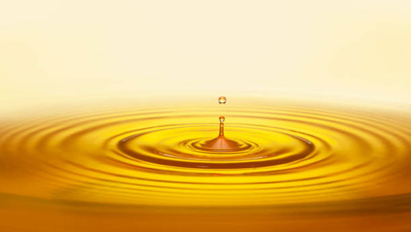 சூப்பர் கண்டுபிடிப்பு... சிக்கன் கழிவுகளில் இருந்து பயோ டீசல்... விலை எவ்ளோனு தெரியுமா?