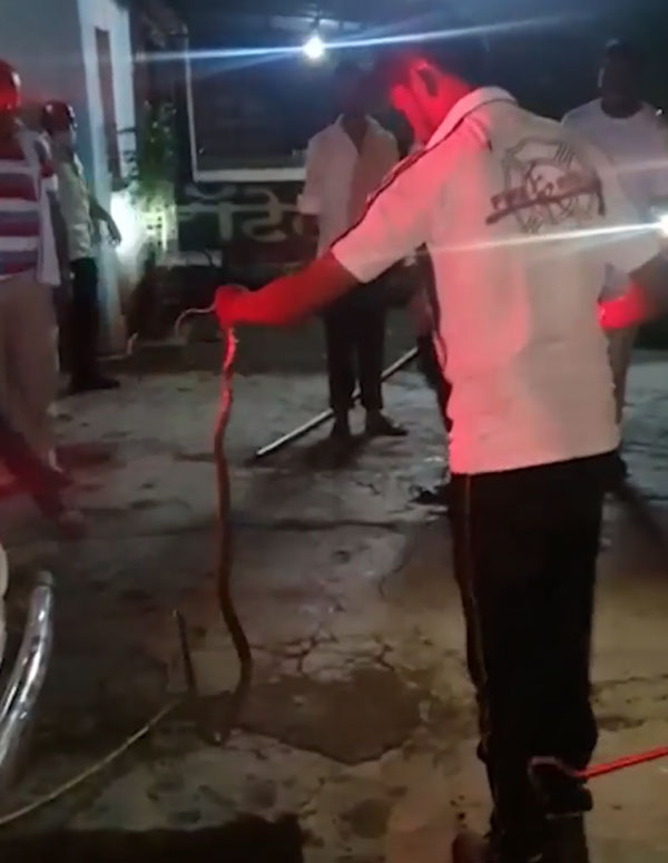 நானும் இந்த கார்ல தான் இருக்கேன்!! டிரைவிங்கின் போது கார் ஓட்டுனரை கிடுகிடுக்க வைத்த பாம்பு!