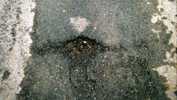 கத்தி படத்தை தூக்கி சாப்பிட்ட முதிய தம்பதி... சத்தமே இல்லாமல் செய்த தரமான சம்பவத்தை நாடே வியந்து பாக்குது!