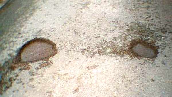 கத்தி படத்தை தூக்கி சாப்பிட்ட முதிய தம்பதி... சத்தமே இல்லாமல் செய்த தரமான சம்பவத்தை நாடே வியந்து பாக்குது!