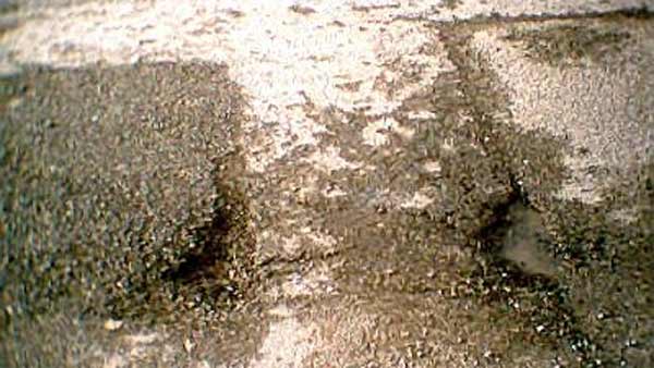 கத்தி படத்தை தூக்கி சாப்பிட்ட முதிய தம்பதி... சத்தமே இல்லாமல் செய்த தரமான சம்பவத்தை நாடே வியந்து பாக்குது!