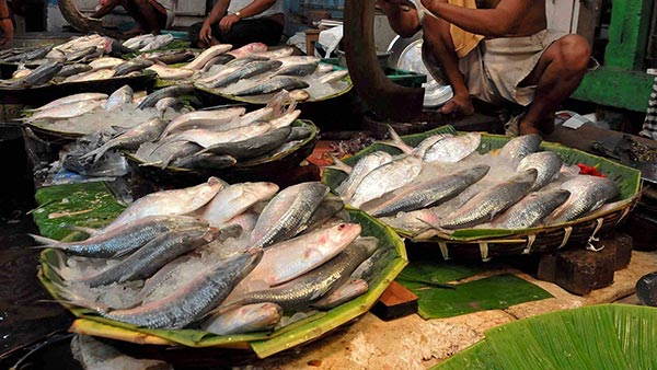 இது சூப்பரா இருக்கே... மதுரை மீன் கடையில் அதிரடி சலுகை... போட்டி போட்டு கொண்டு குவிந்த வாடிக்கையாளர்கள்!