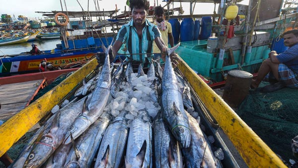 இது சூப்பரா இருக்கே... மதுரை மீன் கடையில் அதிரடி சலுகை... போட்டி போட்டு கொண்டு குவிந்த வாடிக்கையாளர்கள்!
