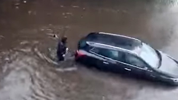 இணைய வாசிகளின் மனதை கவர்ந்த நாய்... இப்படி ஒரு சம்பவத்தை செஞ்சா யாருக்கு இதை பிடிக்காது! வைரல் வீடியோ!