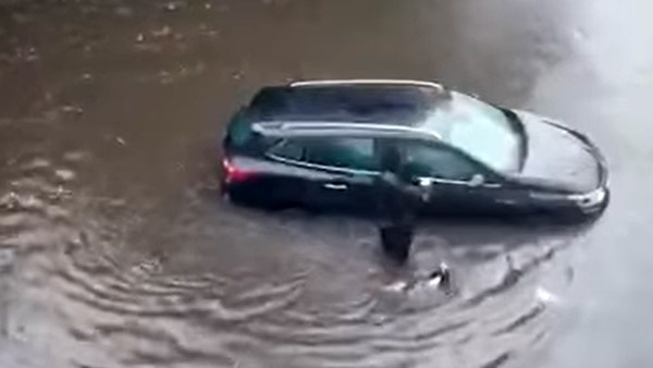 இணைய வாசிகளின் மனதை கவர்ந்த நாய்... இப்படி ஒரு சம்பவத்தை செஞ்சா யாருக்கு இதை பிடிக்காது! வைரல் வீடியோ!