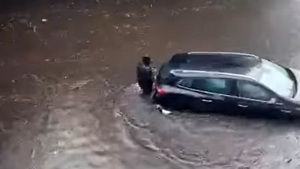 இணைய வாசிகளின் மனதை கவர்ந்த நாய்... இப்படி ஒரு சம்பவத்தை செஞ்சா யாருக்கு இதை பிடிக்காது! வைரல் வீடியோ!