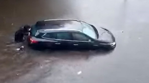 இணைய வாசிகளின் மனதை கவர்ந்த நாய்... இப்படி ஒரு சம்பவத்தை செஞ்சா யாருக்கு இதை பிடிக்காது! வைரல் வீடியோ!