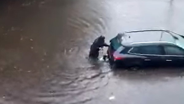 இணைய வாசிகளின் மனதை கவர்ந்த நாய்... இப்படி ஒரு சம்பவத்தை செஞ்சா யாருக்கு இதை பிடிக்காது! வைரல் வீடியோ!