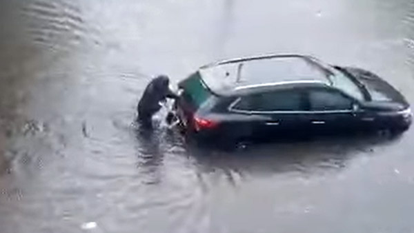 இணைய வாசிகளின் மனதை கவர்ந்த நாய்... இப்படி ஒரு சம்பவத்தை செஞ்சா யாருக்கு இதை பிடிக்காது! வைரல் வீடியோ!