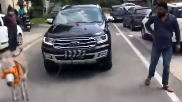 விலையுயர்ந்த Ford காரை இழுத்து சென்ற கழுதை... இணையத்தில் வைரலாகும் வீடியோ!