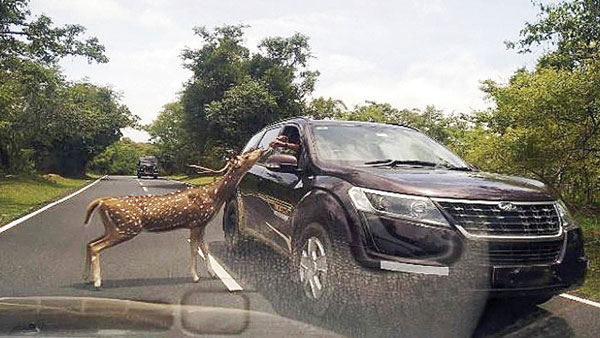 உணவு கொடுத்தது ஒரு குத்தமா? விலையுயர்ந்த காருடன் இளைஞர்களை தூக்கிய அதிகாரிகள்! நடவடிக்கைக்கான முழு காரணம்!