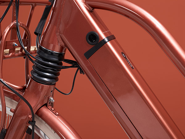 பிரபல வெளிநாட்டு மின் வாகன உற்பத்தி நிறுவனத்தை கையகப்படுத்திய TVS... தமிழக நிறுவனத்தின் தரமான சம்பவம்!