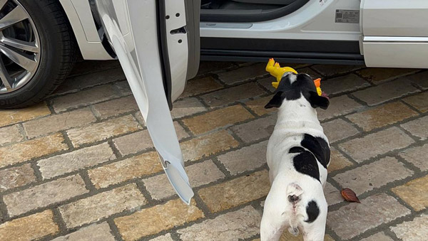 இத விட வேற என்னங்க வேணும்... தனது அம்மாவுக்கு மிக மிக விலை உயர்ந்த காரை பரிசளித்த தி ராக்... விலை இவ்ளோ அதிகமா!!