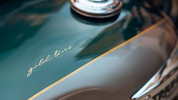 டிரையம்ப்பின் புதிய 6 கோல்டு லைன் எடிசன் பைக்குகள் இந்தியாவில் அறிமுகம்!! ஆரம்ப விலை ரூ.9.95 லட்சம்!