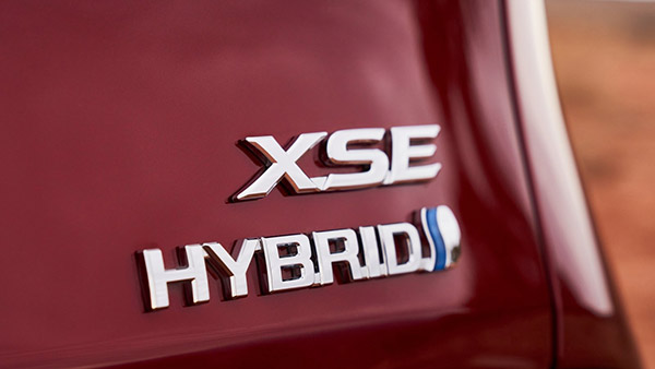 டொயோட்டா கார்களில் உள்ள SE, XLE போன்ற எழுத்துக்கள் எதை குறிக்கிறது? இந்த விஷயத்தை யாரும் சொல்ல மாட்டாங்க! டொயோட்டா கார்களில் உள்ள SE, XLE போன்ற எழுத்துக்கள் எதை குறிக்கிறது? இந்த விஷயத்தை யாரும் சொல்ல மாட்டாங்க!