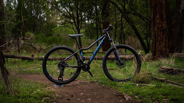 நியூசிலாந்து, ஆஸ்திரேலியாவில் இந்த சைக்கிளுக்கு வரவேற்பு அமோகம்... இந்தியா வந்திறங்கிய பிரபல வெளிநாட்டு மிதிவண்டி!