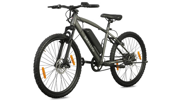 உல்லாச கப்பல்களில் இந்த பொருட்களை கொண்டு செல்ல முடியாது... பறிமுதல் பண்ணீருவாங்க... ஏன் தெரியுமா?