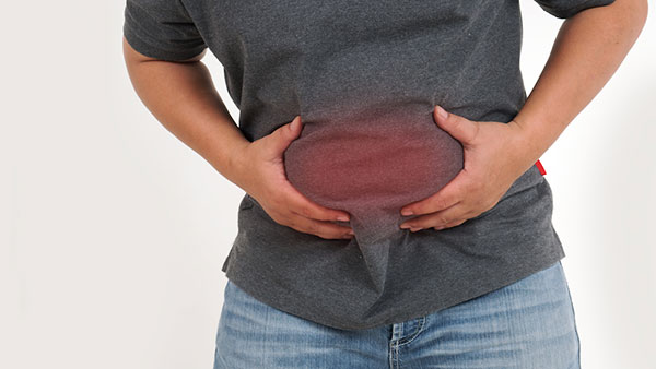 கப்பலை கட்டி வைக்கும் கயிற்றில் ஒரு டிஸ்க் இருக்கும்! எதுக்காக தெரியுமா? இந்த விஷயத்தை யாரும் சொல்ல மாட்டாங்க!