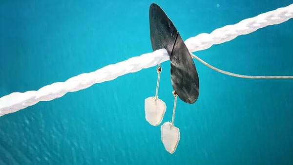 கப்பலை கட்டி வைக்கும் கயிற்றில் ஒரு டிஸ்க் இருக்கும்! எதுக்காக தெரியுமா? இந்த விஷயத்தை யாரும் சொல்ல மாட்டாங்க!