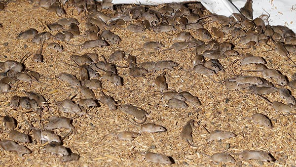 கப்பலை கட்டி வைக்கும் கயிற்றில் ஒரு டிஸ்க் இருக்கும்! எதுக்காக தெரியுமா? இந்த விஷயத்தை யாரும் சொல்ல மாட்டாங்க!