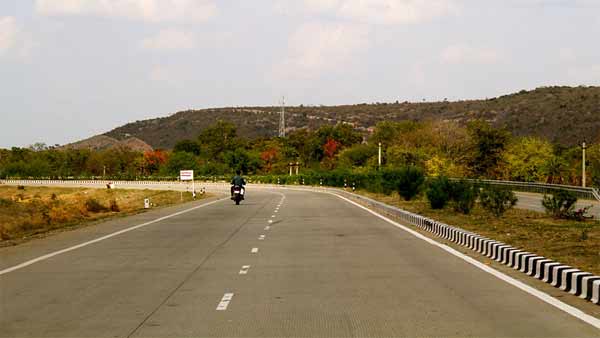 நெடுஞ்சாலைகளில் அரளி செடிகளை ஏன் வளக்கறாங்க தெரியுமா? இந்த விஷயத்தை உங்ககிட்ட யாரும் சொல்ல மாட்டாங்க!