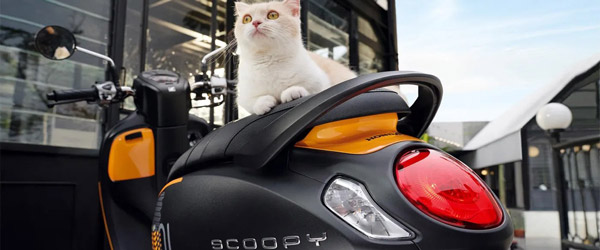 புதிய ஸ்கூட்டரை விற்பனைக்கு கொண்டு வரும் திட்டத்தில் ஹோண்டா... பெயருக்கு ஏற்ப ஸ்கூட்டரும் சூப்பரா இருக்குது!