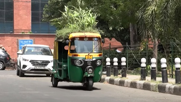 பலரின் மனதை கவர்ந்த ஆட்டோ டிரைவர்... மேற்கூரையில் செடிகளை வளர்க்க இதுதான் காரணமா... சூப்பரா இருக்கு!